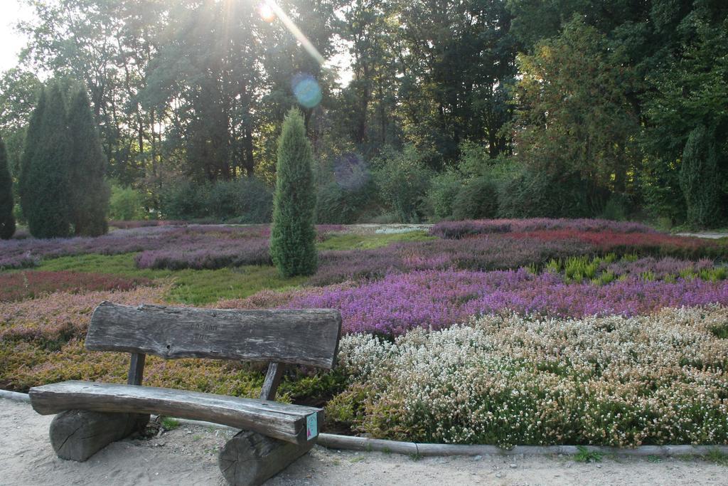 Ferienwohnung Lueneburger Heide シュネーヴァーディンゲン エクステリア 写真