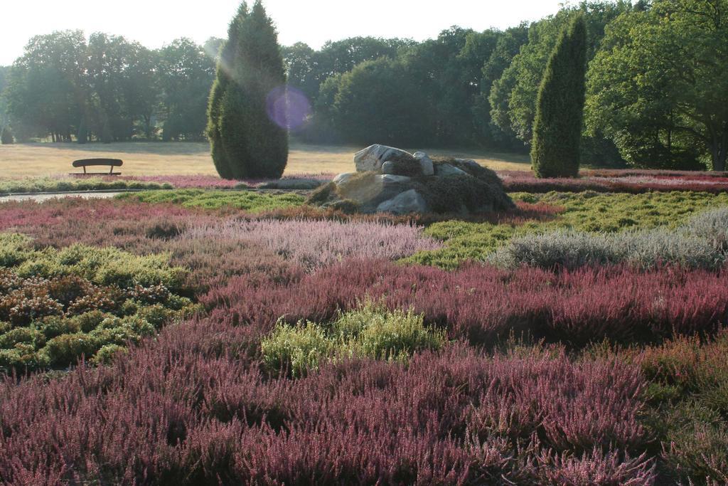 Ferienwohnung Lueneburger Heide シュネーヴァーディンゲン エクステリア 写真