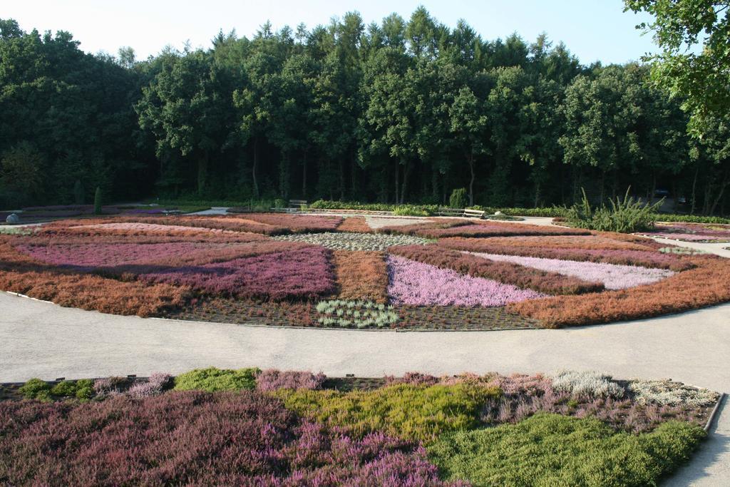 Ferienwohnung Lueneburger Heide シュネーヴァーディンゲン エクステリア 写真