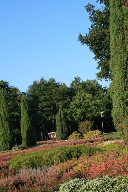 Ferienwohnung Lueneburger Heide シュネーヴァーディンゲン エクステリア 写真